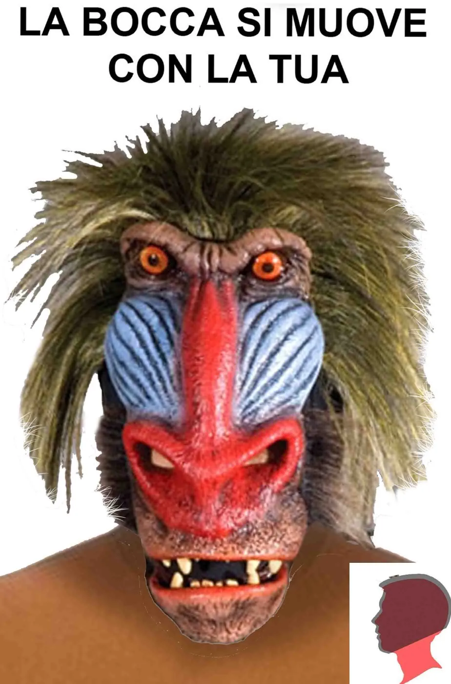 Maschera Adulto da scimmia Babbuino qualità professionale a tutta testa con pelo.Si muove con te.