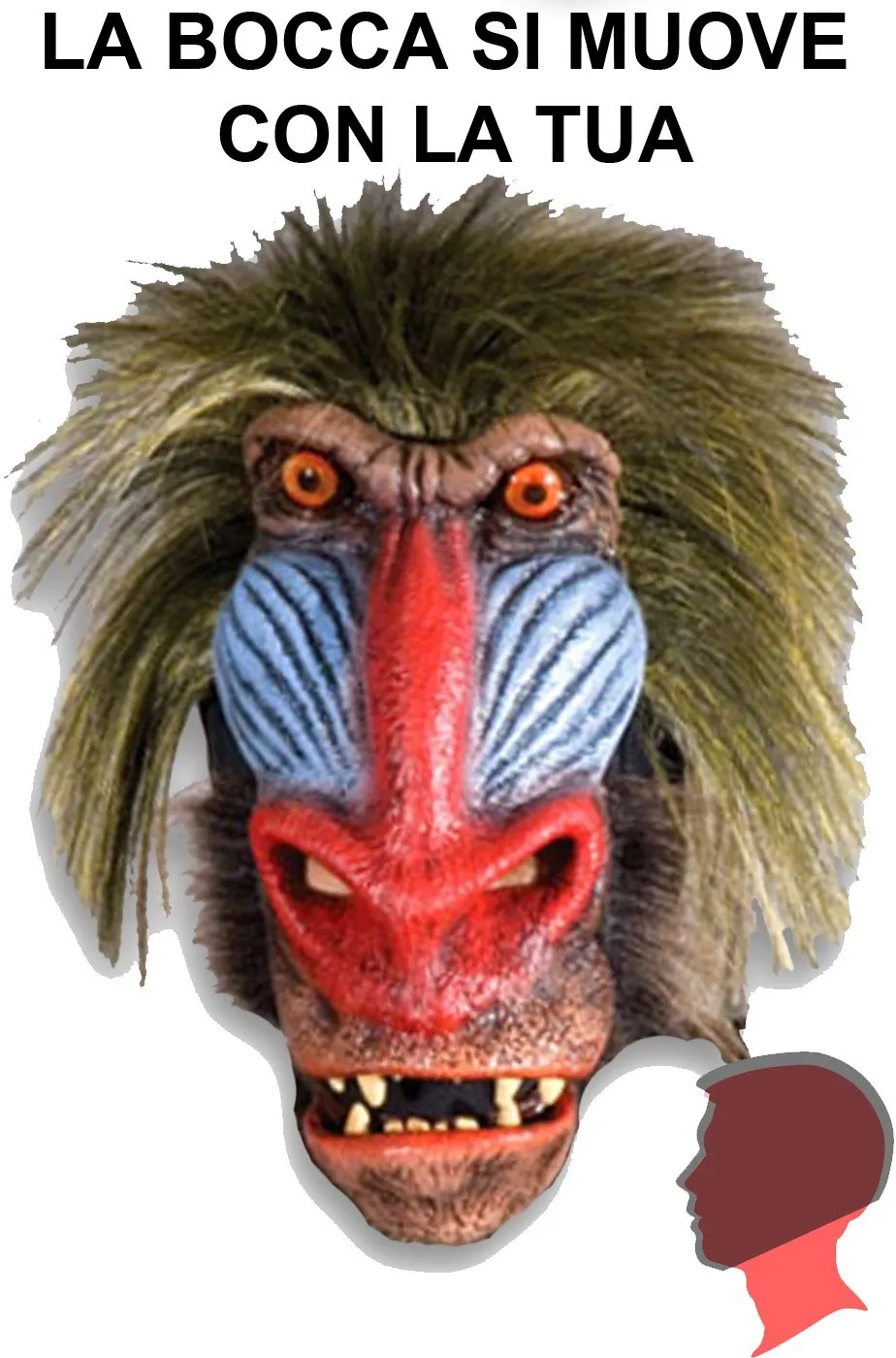 Maschera Adulto da scimmia Babbuino qualità professionale a tutta testa con pelo.Si muove con te.