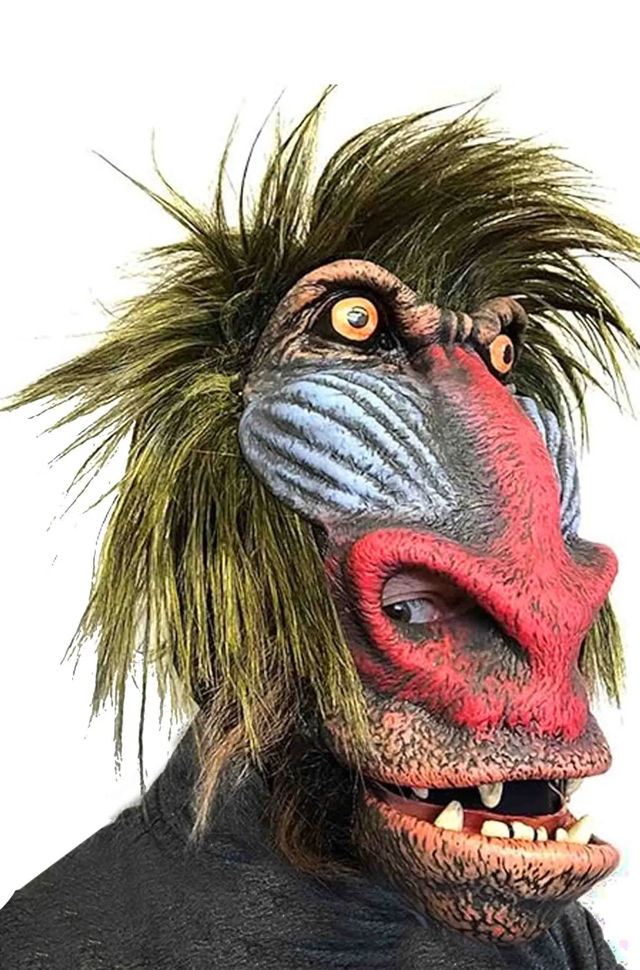 Maschera Adulto da scimmia Babbuino qualità professionale a tutta testa con pelo.Si muove con te.