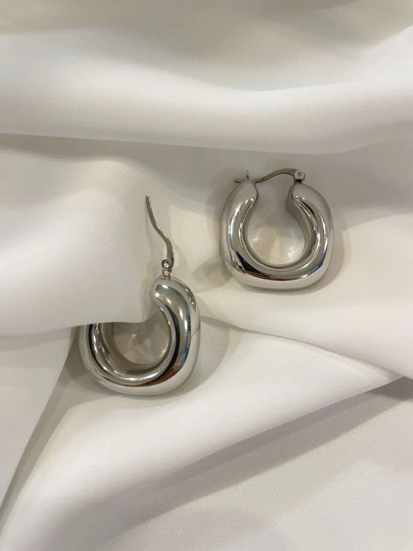 Steel Earrings